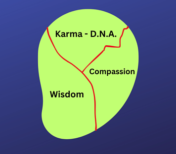 A green seed is divided into 3 parts - Karma, Compassion and Wisdom