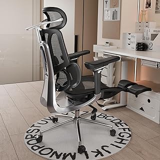 Secretly Tital ergonomic chair